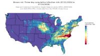 thumbs/BROT_Cum_Inf_Risk_3day_20260724.t.jpg