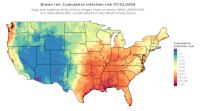 thumbs/BROT_Cum_Inf_Risk_Total_20260701.t.jpg