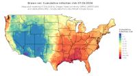 thumbs/BROT_Cum_Inf_Risk_Total_20260725.t.jpg
