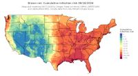 thumbs/BROT_Cum_Inf_Risk_Total_20260918.t.jpg