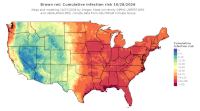 thumbs/BROT_Cum_Inf_Risk_Total_20261028.t.jpg