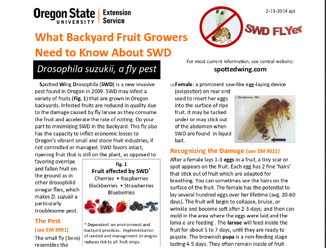 SWD Backyard Management PDF